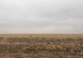 Kerrick,Sherman,Texas,United States 79051,Undeveloped Property,1132