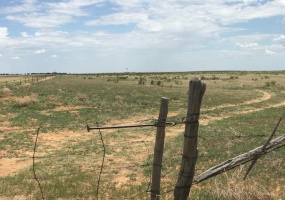 FM 296,Texline,Dallam,Texas,United States 79087,Undeveloped Property,FM 296,1144
