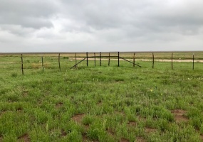 11545 FM 998,Dalhart,Hartley,Texas,United States 79022,3 Bedrooms Bedrooms,1 BathroomBathrooms,Single Family Home,FM 998,1181